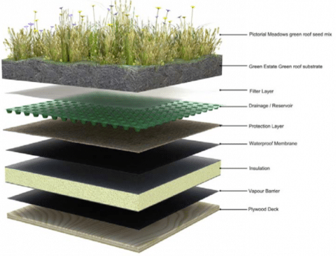 Solar PV Integration with Green Roofs | Honeydew Advisors